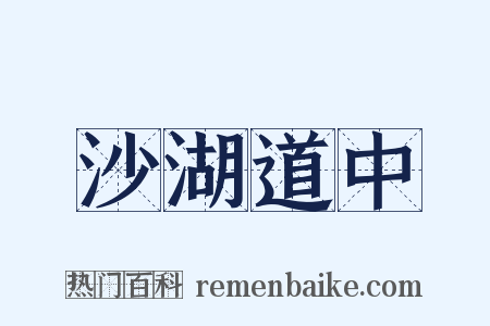 沙湖道中是什么意思的图片